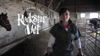 Rock Star Vet Sizzle Reel