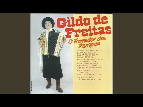 Percorrendo O Rio Grande - Gildo de Freitas