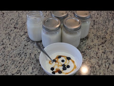 How To Make Yogurt at Home
