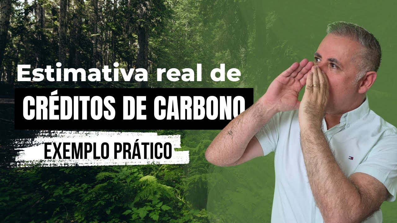 Quantos Créditos de Carbono a minha área pode gerar?