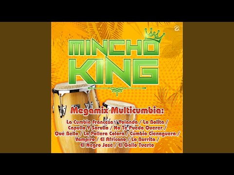 Megamix Multicumbia: La Cumbia Francesa , Yolanda , La Bolita , Capullo Y Sorullo , No Te Puedo...