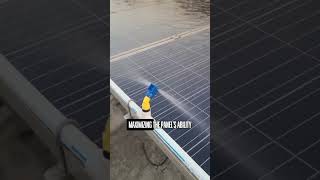 This is an automatic solar panel cleaning system.