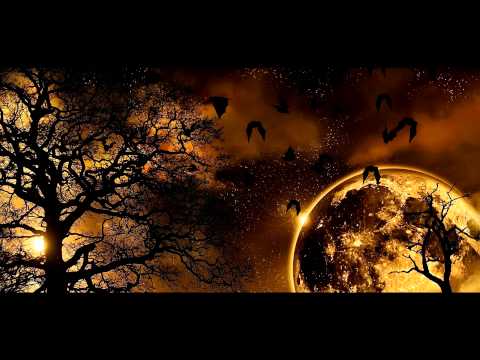 Tomas Dvorak: Clockwise operetta