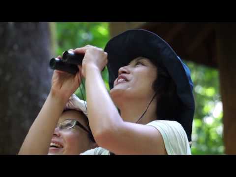 「知本國家森林遊樂區─返璞歸真」景觀篇