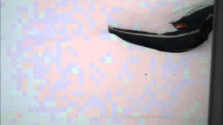 My Michigan snowy weather UPDATE