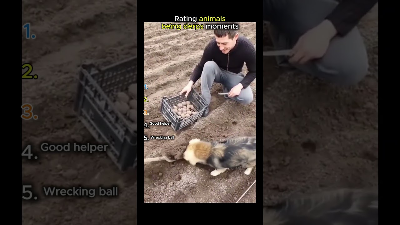 No Braincells 😭 | Instant Regret 😂