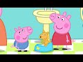 Peppa Pig Potty Training Peppa Pig Official Family Kids Cartoon
