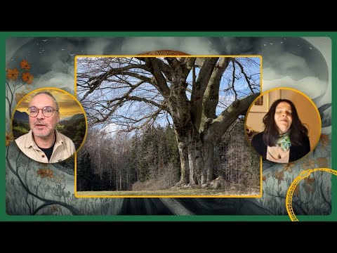 Frühlingspflanzen 3 – Pflanzen auf der Keltenschanze (zu Gast: Barbara Dürrwang)