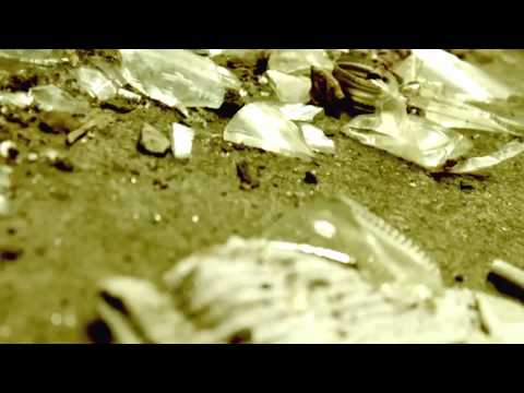 SHE WONDER (Official Video)