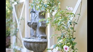 How To Build A Wall Trellis with Centsational Girl