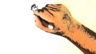 Conhecendo os Presidentes - Ep. 29: Fernando Collor de Mello