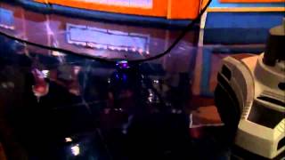 Summer Toys on David Letterman 24 July, 2013 1 2