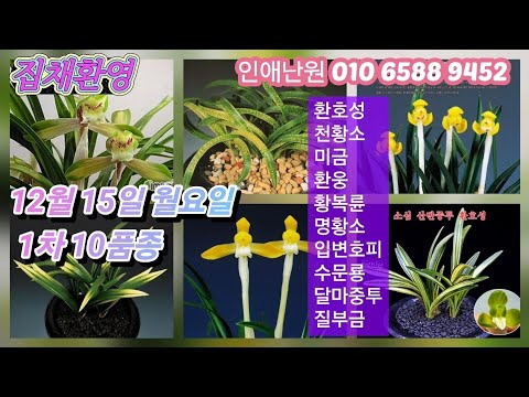 유튜브 썸네일