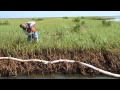 Come Save Our Wetlands