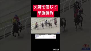 【やらかしの天才】矢野を信じて単勝1万勝負 #競馬