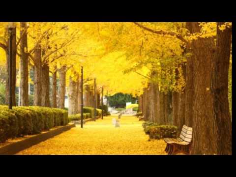 Don't Make Me Over / The Anita Kerr Singers