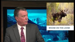 Top stories from today's Montana This Morning, 11-12-2021