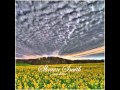 Shawn Smith - 'On Our Knees'