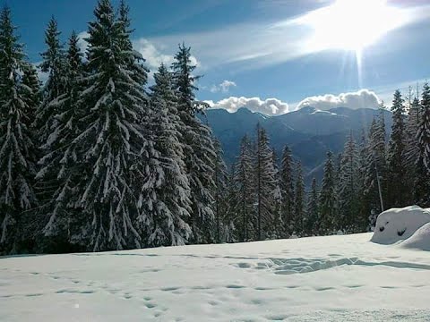 u Furtoka.....pozdrawiam cała Polskę :)