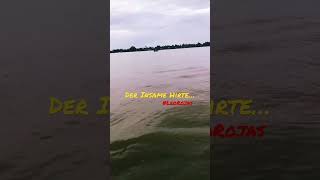 Download lagu Der Insame Hirte ~ Leo Rojas #remix #evergreenlovesong mp3 Download lagu Der Insame Hirte ~ Leo Rojas #remix #evergreenlovesong mp3