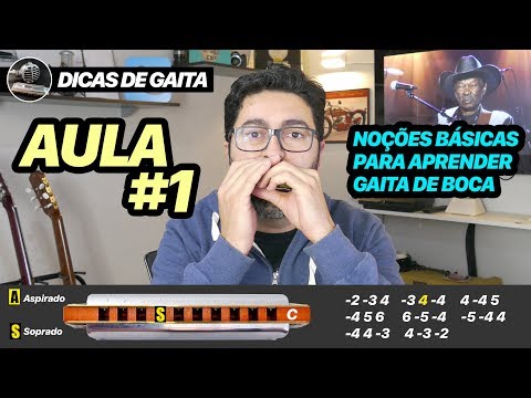 Dicas de Gaita - AULA #1- Noções básicas para aprender gaita de boca