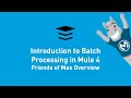 Introduction to Batch Processing in Mule 4 | Friends of Max Overview