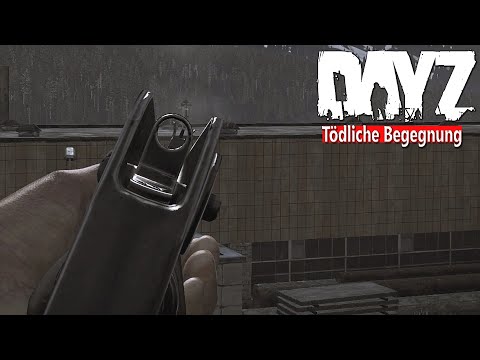 DAYZ - Die BESTRAFUNG des KANNIBALISMUS - BEGEGNUNG scheint zu ESKALRIEREN [Deutsch] Let's Play DayZ