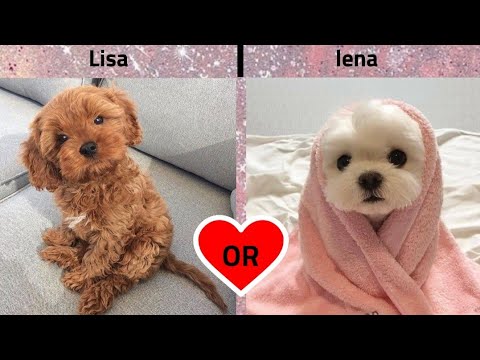 Lisa or Lena (would u rather) PoKeUnicorn #10