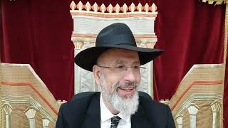 Parashat Emor (zera Chimchon) Des êtres qui recherchent la vie.Pour toutes les demandes de Déborah..