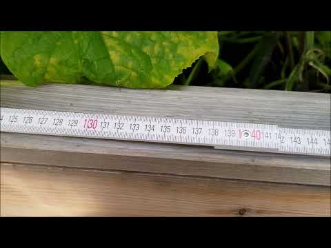 Gardena Aqua bloom Solar Pumpe - Lautstärke