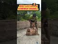 Home Made Barbell 100kg Zero Cost ️ ️ Shorts Homemade Barbell Fitness Is Life
