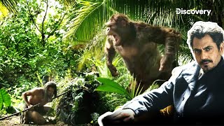 The Untold Story of Human Evolution with Nawazuddin | The Last Secrets of Humankind | Discovery