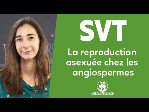 La reproduction asexuée chez les angiospermes