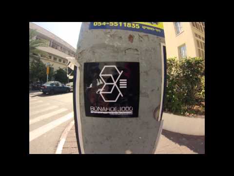 Frozen ass Tour - Bonafide3000