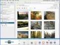 Review: Google Picasa - free photo editing software