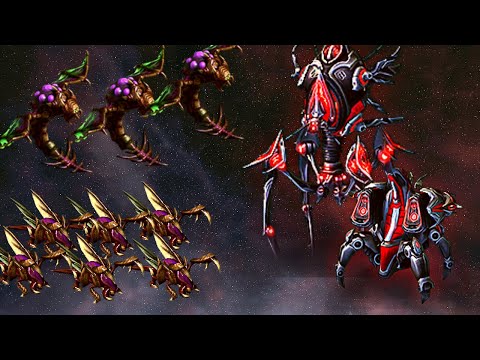 STIMMED VANGUARDS / PURE ZERG MENGSK - Weekly Brawl [Starcraft 2 Direct Strike]