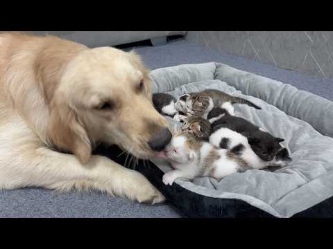 YouTube 썸네일