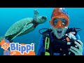 Scuba Diving With Blippi Learning Videos For Toddlers Educational Videos For Kids