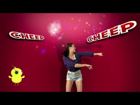 PULCINO PIO - The Little Chick Cheep (Official video tutorial)