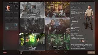 Solasta Crown of the Magister Başlangıç Rehberi #1 | Karakter Yaratma, D&D 5th E