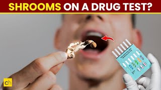 Do shrooms show up on drug test : Expert Reveals Surprising Truth About Shrooms & Drug Tests