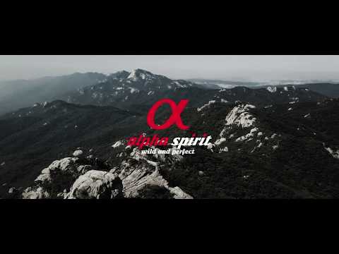 Primal Spirit PRIMAL Wilderness Adult Dog drėgnas pašaras šunims 12kg video
