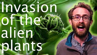 Controlling alien plants: non-native & invasive species - Oli Pescott 👽