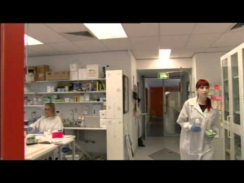 Prof Cyndi Shannon Weickert- Spark of Genius