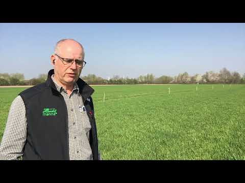 Aktuell im Ackerbau II - Gezielte Düngung bringt Erfolg