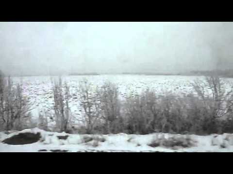 Calatorie cu P3644 pe ruta Telechiu - Tetchea (Winter Edition) (31 01 2011)