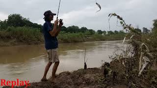 Download lagu Mancing Ikan Berod di Kali Cipunegara Ds.Karangtumaritis Haurgeulis mp3 Download lagu Mancing Ikan Berod di Kali Cipunegara Ds.Karangtumaritis Haurgeulis mp3