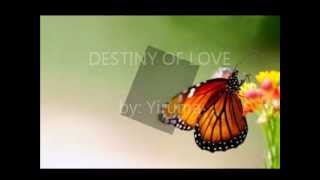DESTINY OF LOVE