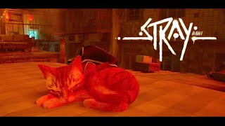 【STRAY】猫になって不思議な世界を大冒険  ＃４