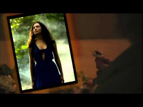 Vasile Şeicaru - Sentimente